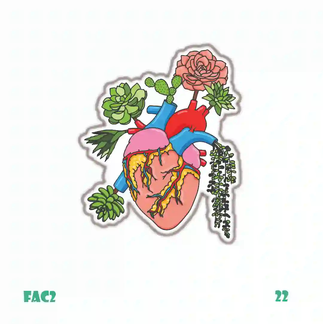 MEDICINE [2]