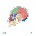 MEDICINE [3]