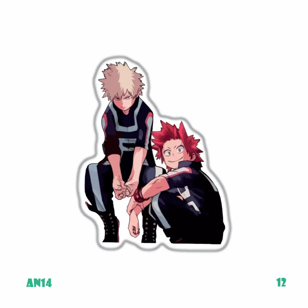 MY HERO ACADEMIA [12]