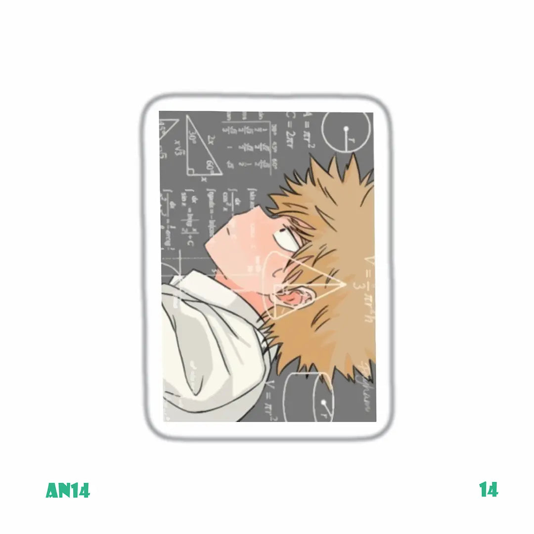 MY HERO ACADEMIA [14]