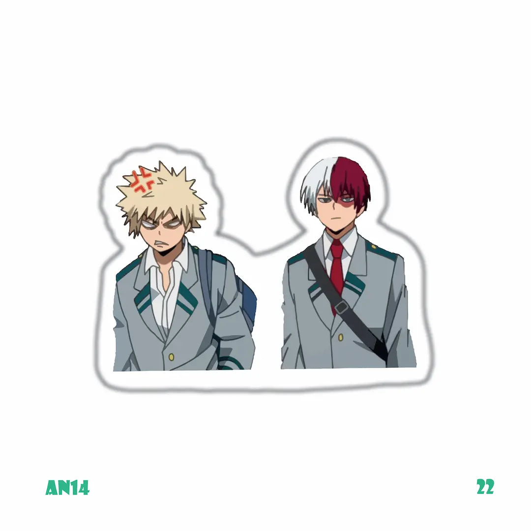 MY HERO ACADEMIA [22]