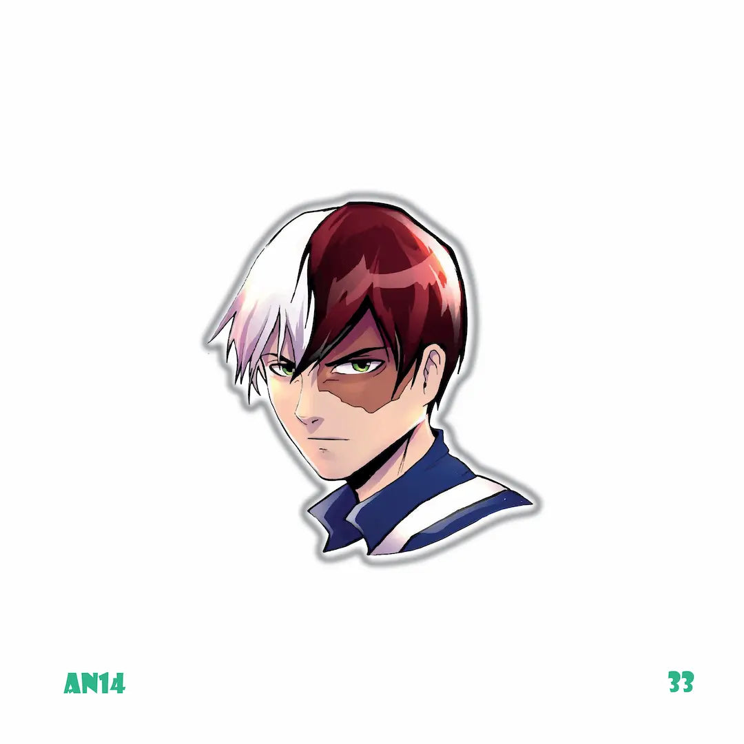 MY HERO ACADEMIA [33]