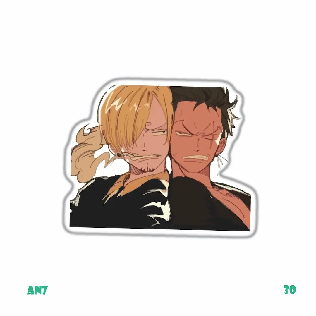 ONE PIECE [30]