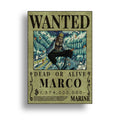 ONE PIECE (16)