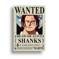 ONE PIECE (21)
