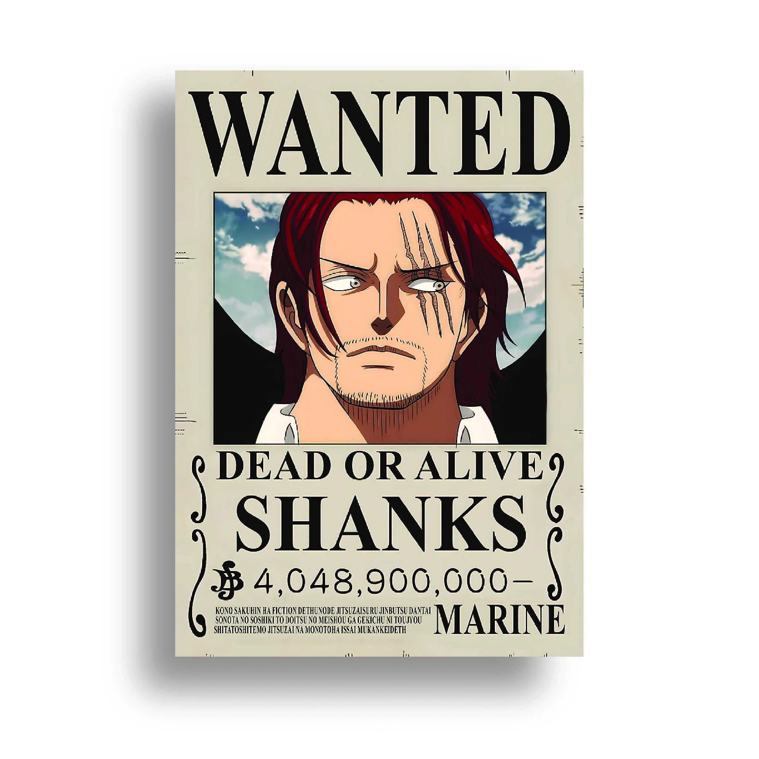 ONE PIECE (21)