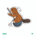 PROGRAMMING & ENGINEERING [1]