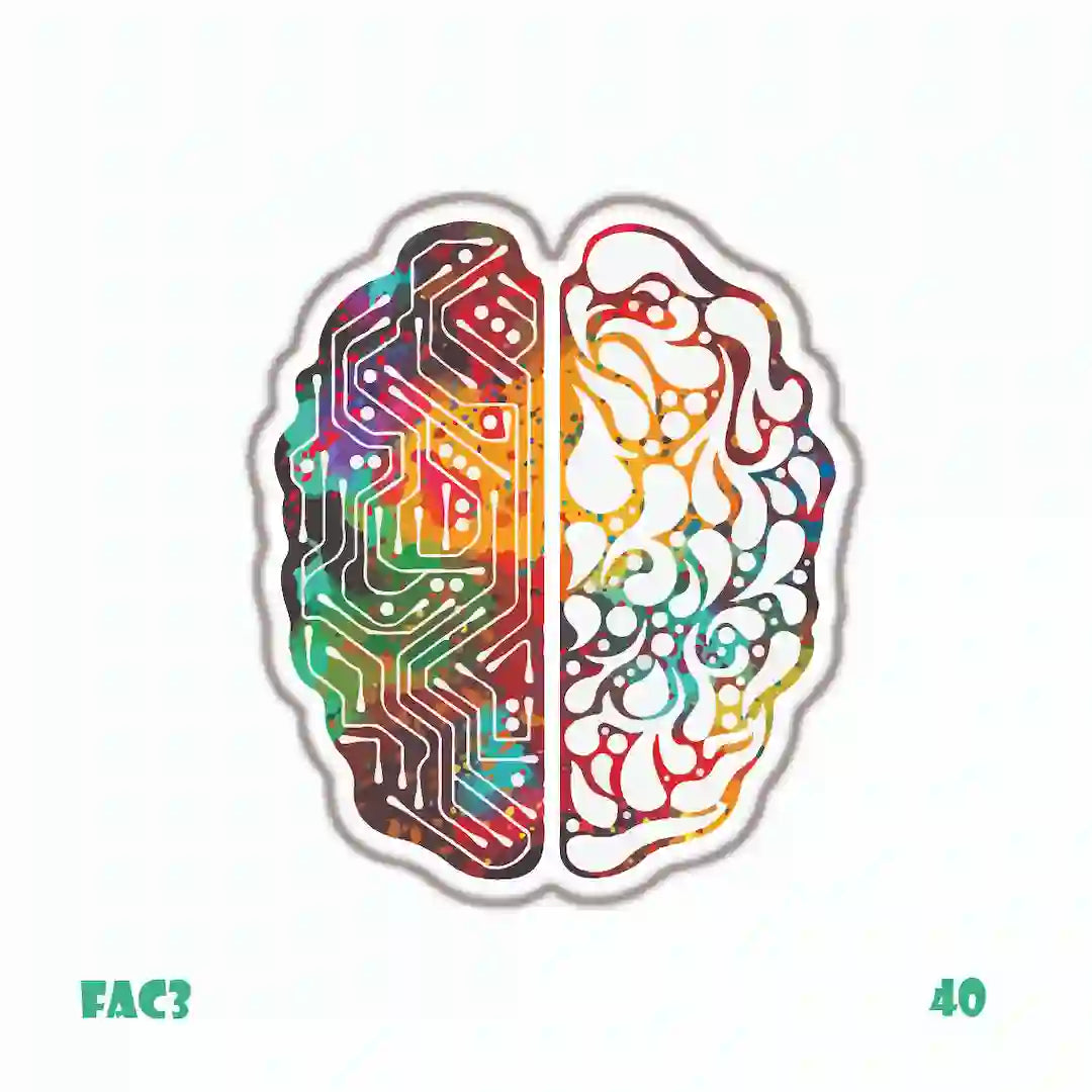 PROGRAMMING & ENGINEERING [6]