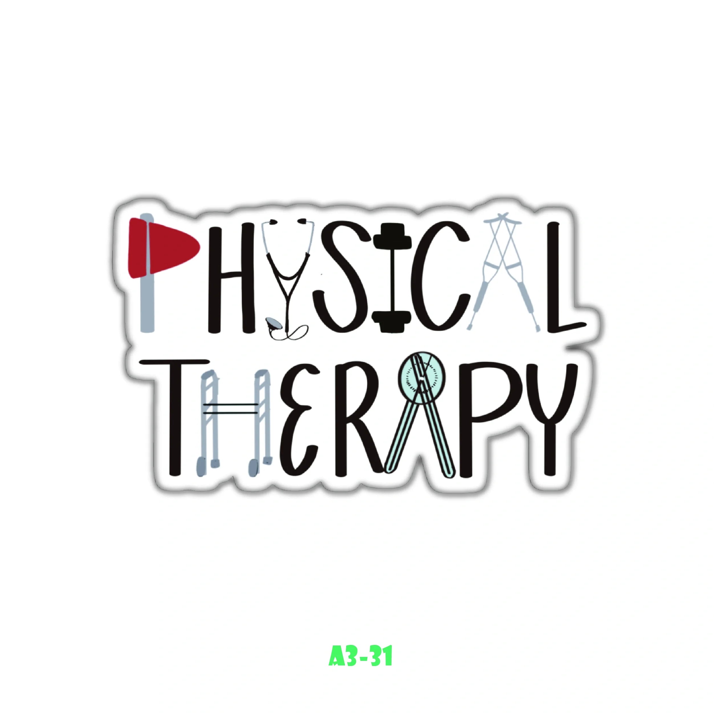 PHYSICAL THERAPIST