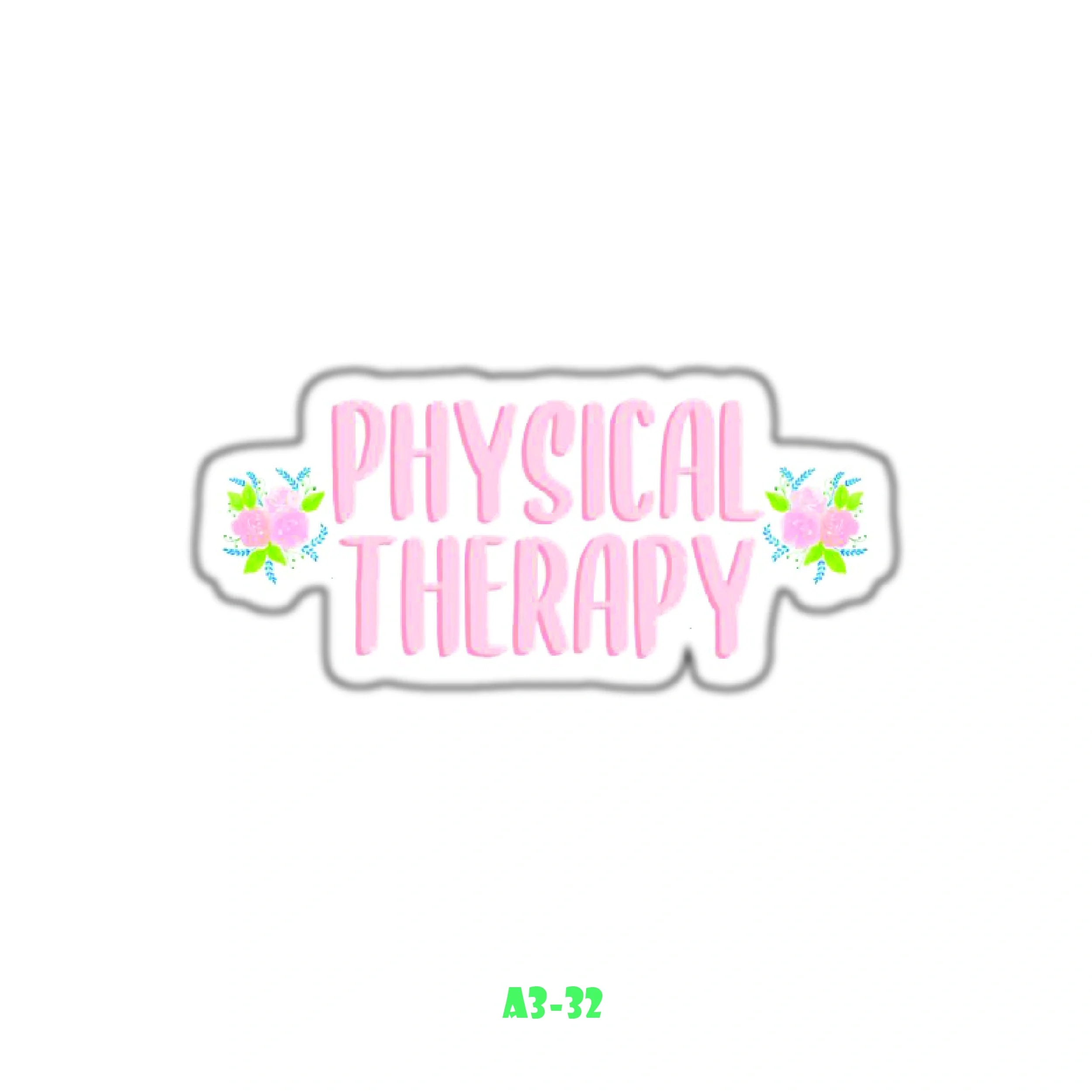 PHYSICAL THERAPIST