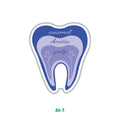 TOOTH ANATOMY