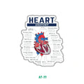 HEART ANATOMY