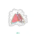 LUNGS ANATOMY