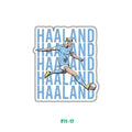 HAALAND
