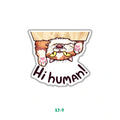 HI HUMAN!