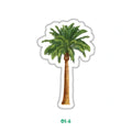DATE PALM TREE