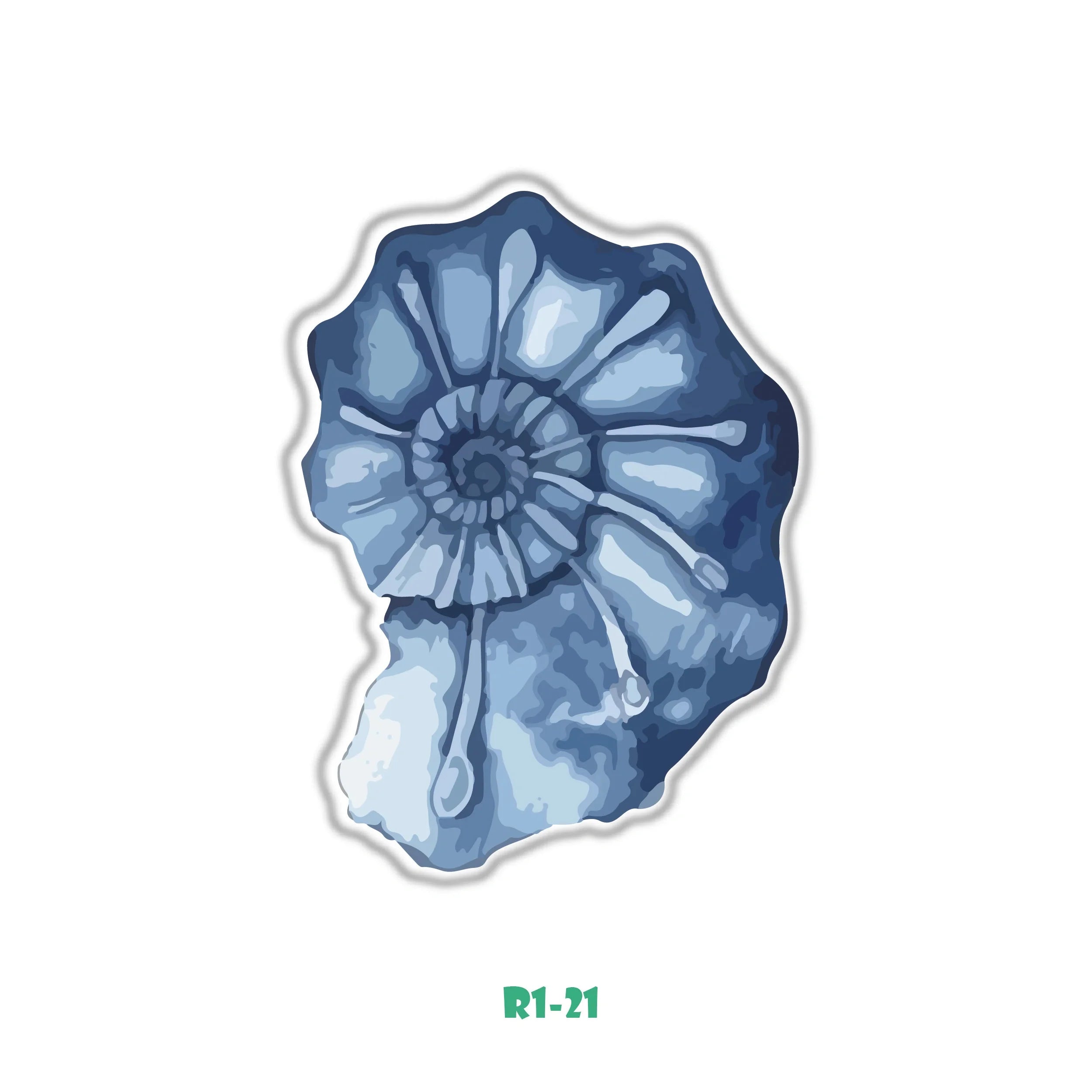 BLUE SEASHELLS