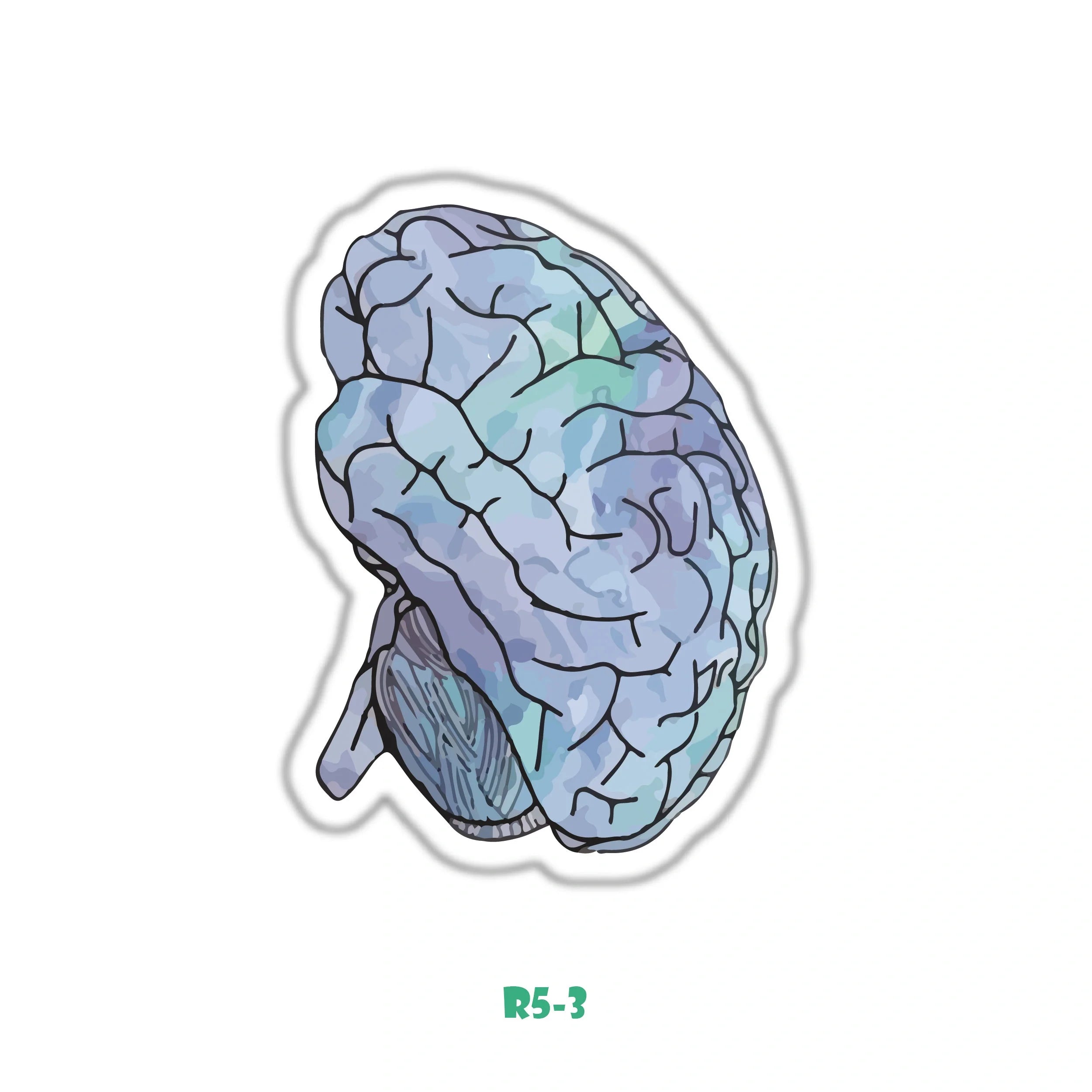 BRAIN