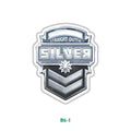 SILVER CS:GO