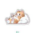 KITTEN