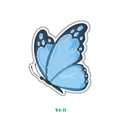 AZURE BUTTERFLY