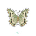 OLIVE GREEN BUTTERFLY