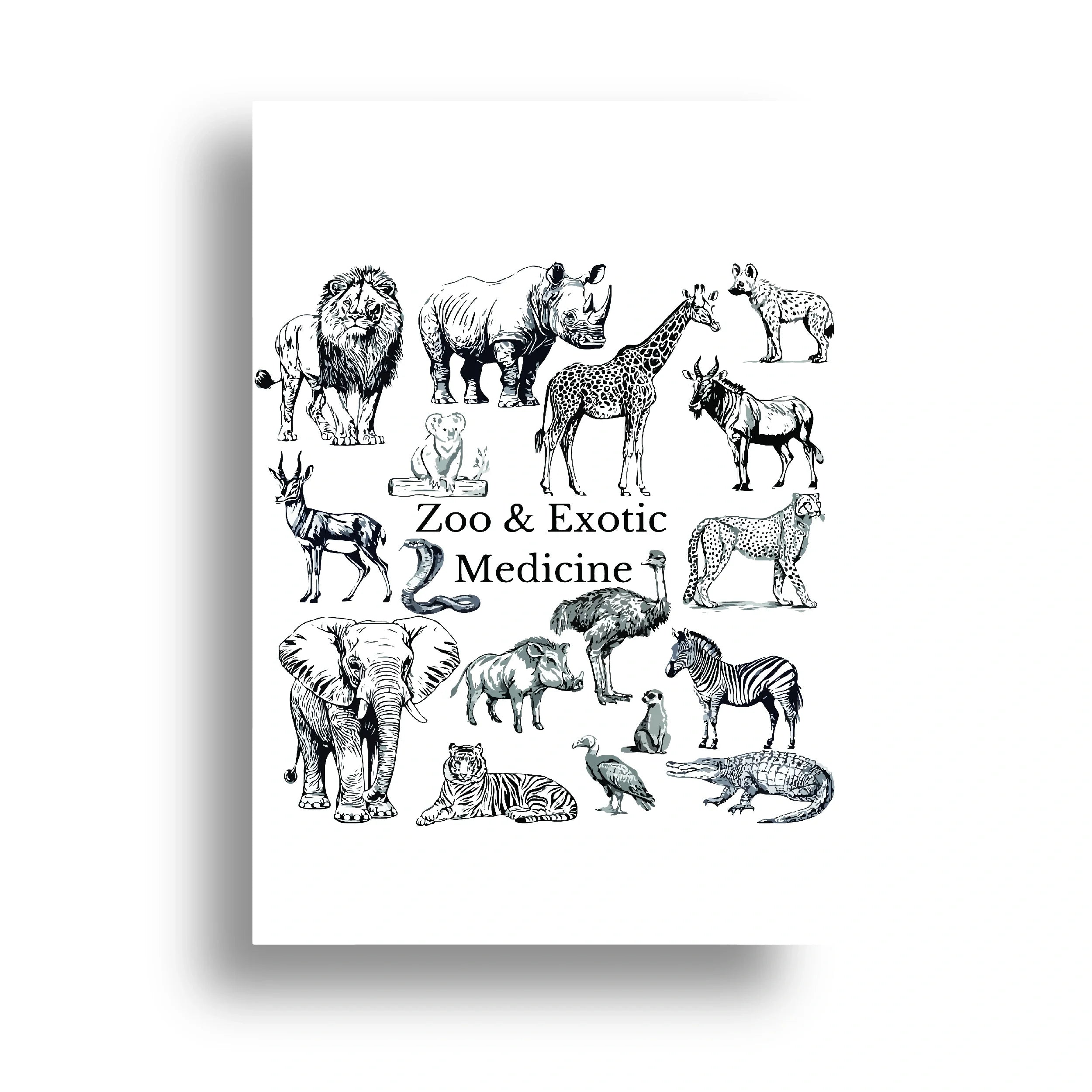 VETERINARY POSTER {11}