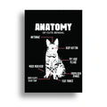 VETERINARY POSTER {19}