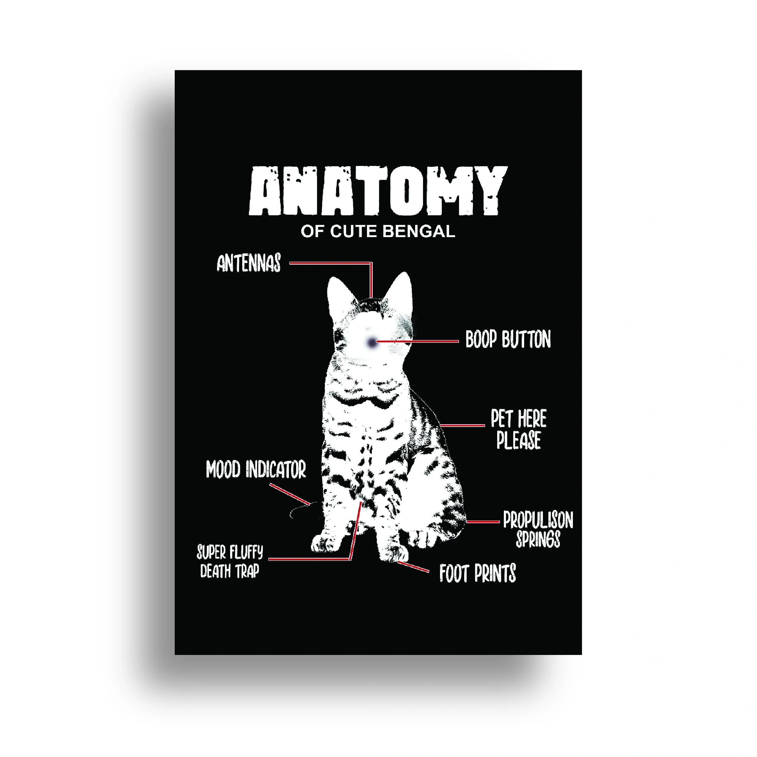 VETERINARY POSTER {19}