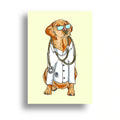 VETERINARY POSTER {2}