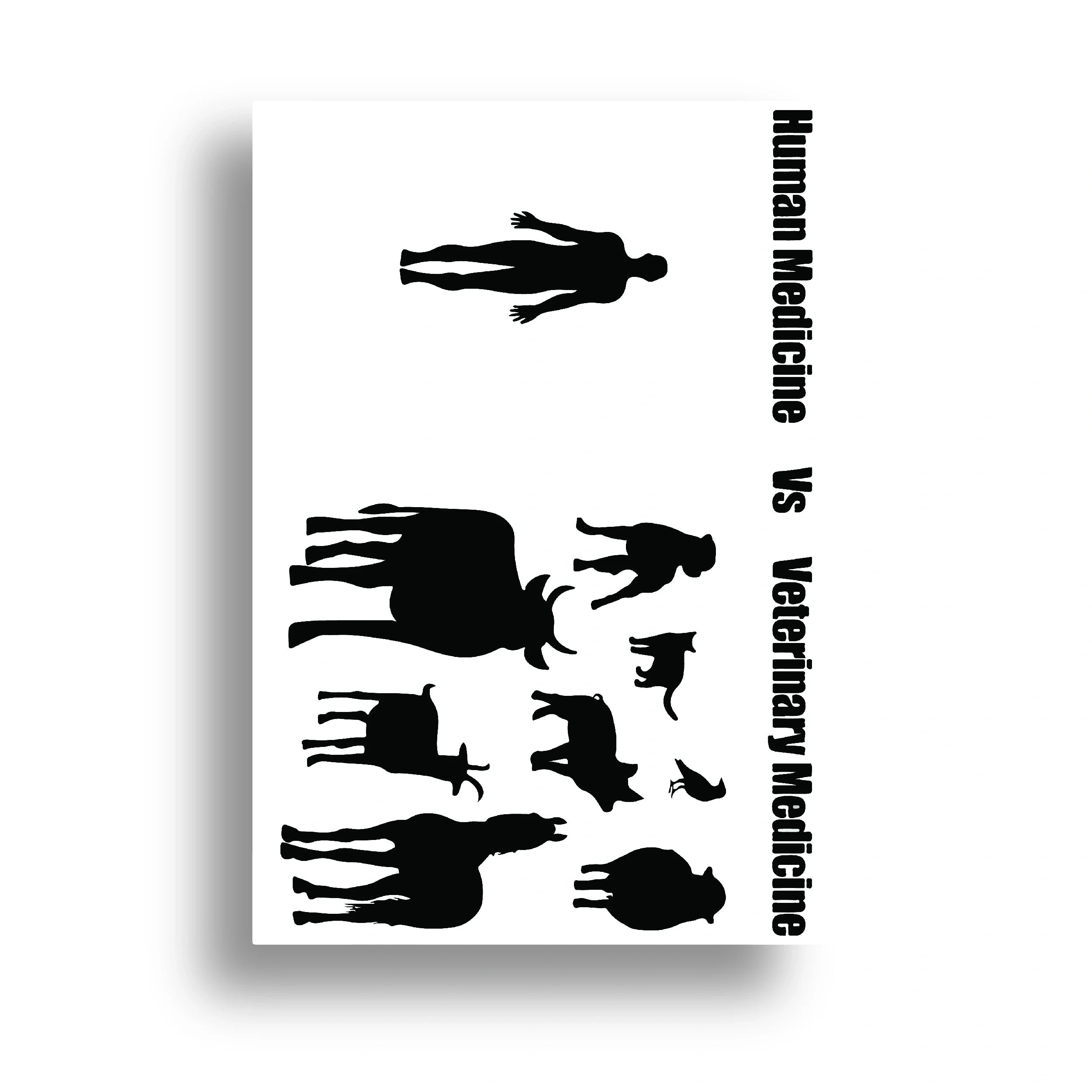 VETERINARY POSTER {5}