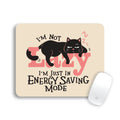 ENERGY SAVING CAT